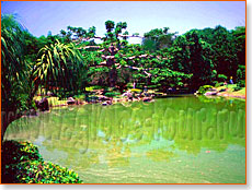 санто-доминго ботанический сад
